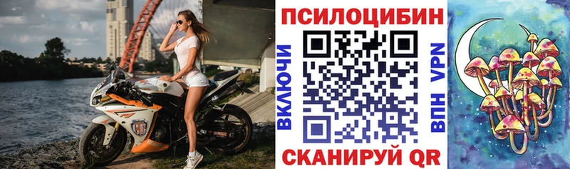 Галлюциногенные грибы Psilocybine cubensis  Купить закладки  Нижний Ломов 